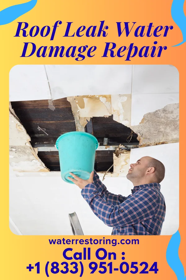 Roof Leak Water Damage Repair in Chesterfield, MO